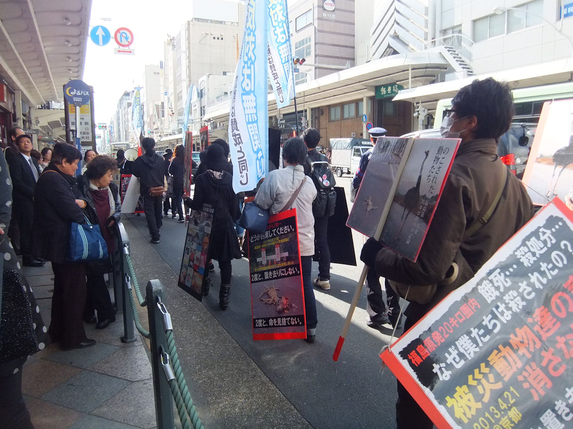 14_20130421235125.jpg