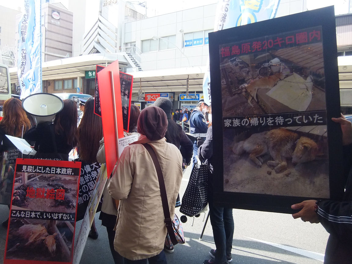 15_20130421235124.jpg