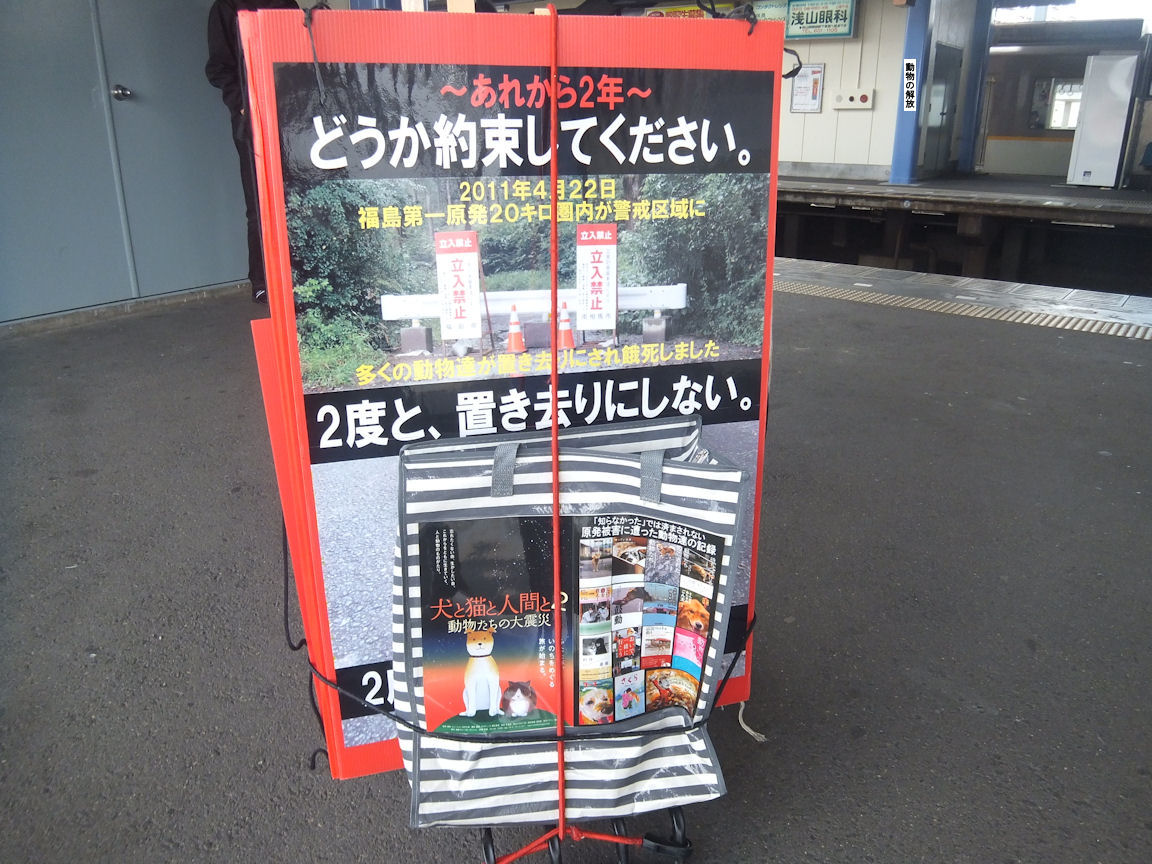 37_20130422223147.jpg