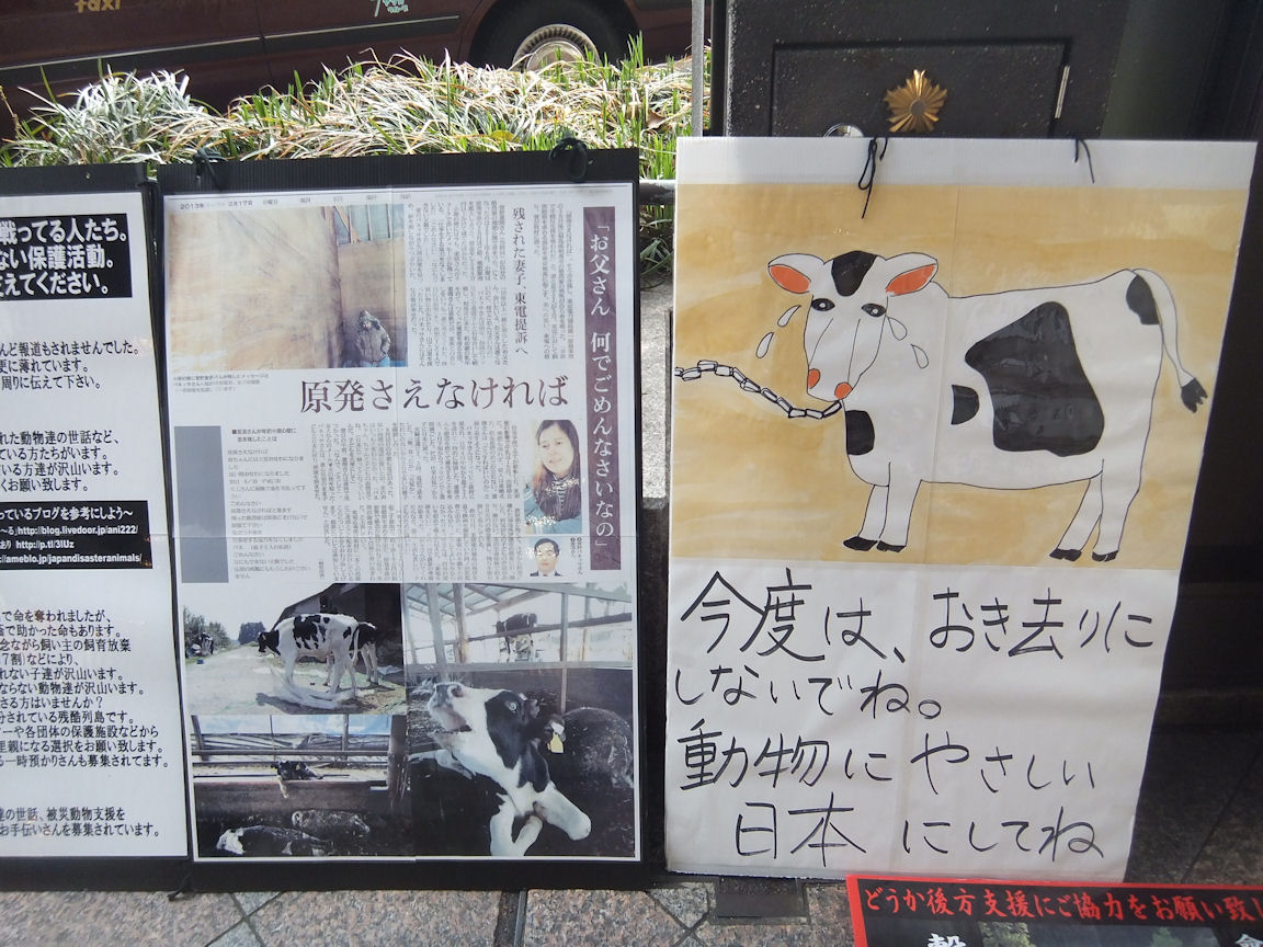 8_20130421235057.jpg