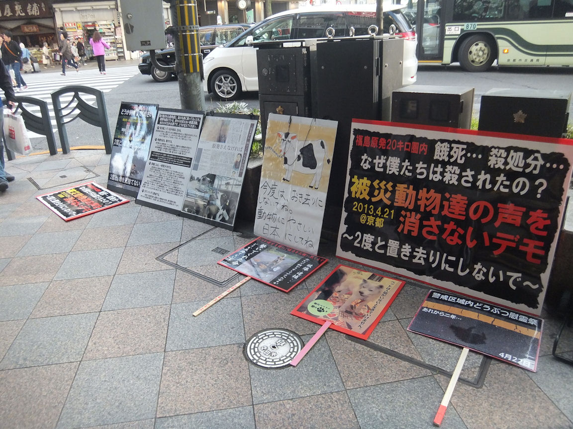 9_20130421235056.jpg