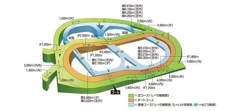 ☆mayuの競馬☆