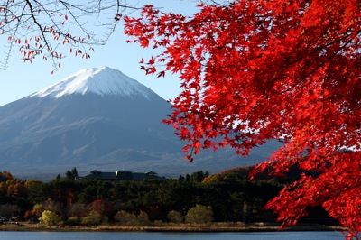 富士山と紅葉1031