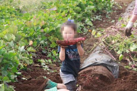 IMG_9825繝悶Ο繧ｰ_convert_20121021171425