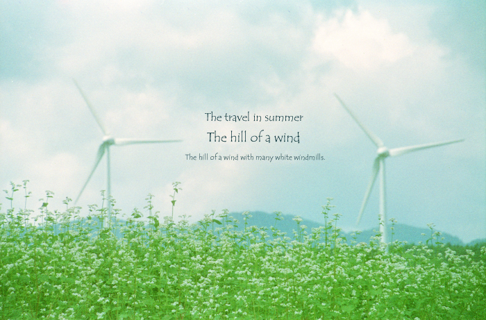 The travel in summer 3