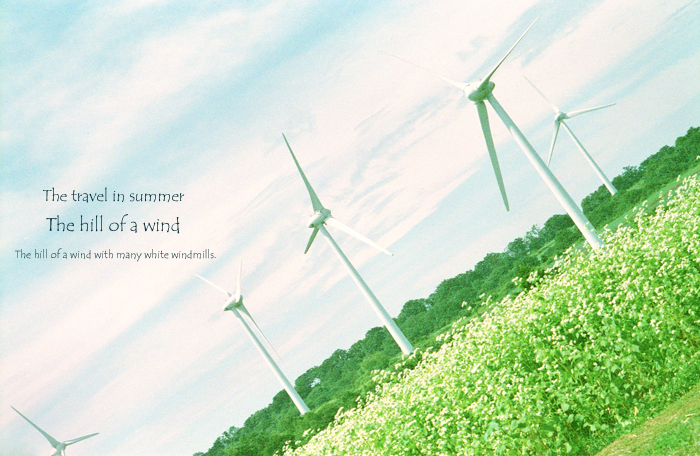 The travel in summer