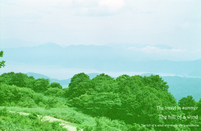 The travel in summer 8