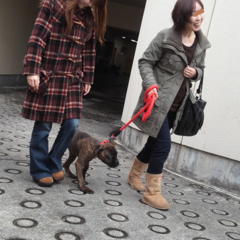 2012121810160000.jpg