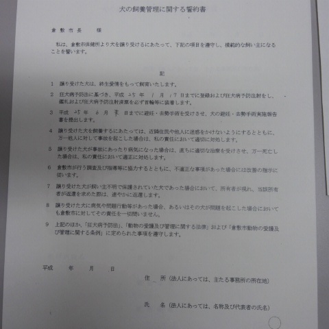 2012121810240000.jpg