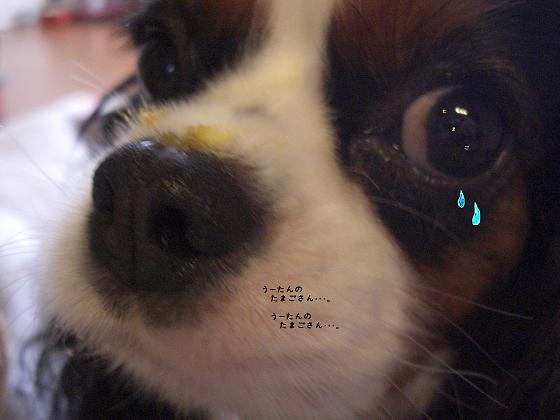 メルうし日和。-いぢり①