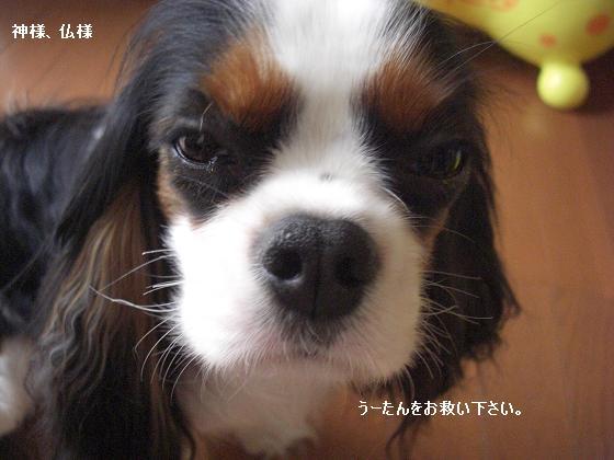 メルうし日和。-床屋2③