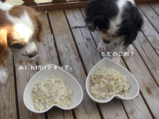 メルうし日和。-ご一緒5