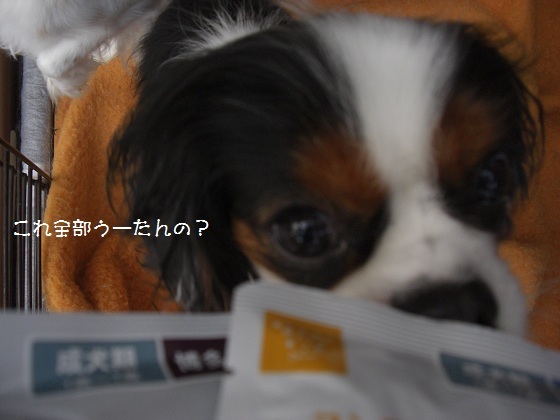 メルうし日和。-ﾏﾝﾏ2