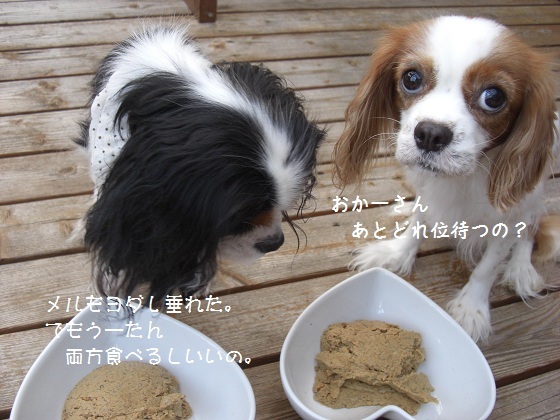 メルうし日和。-ﾏﾝﾏ4