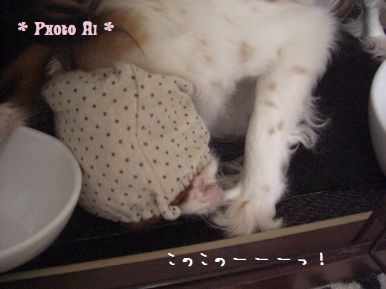 メルうし日和。-1はげちゃびん