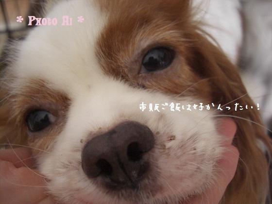 メルうし日和。-6はげちゃびん