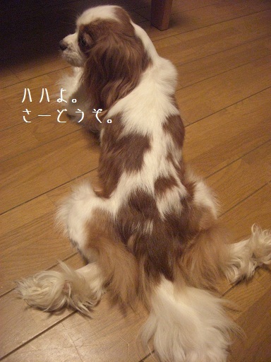 メルうし日和。-1 鰻