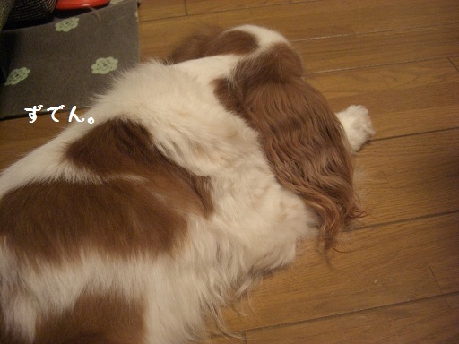 メルうし日和。-3 鰻