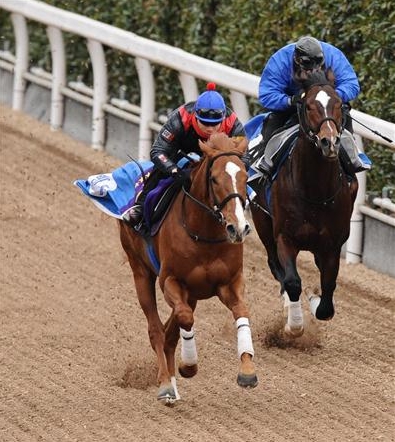 オルフェーヴル