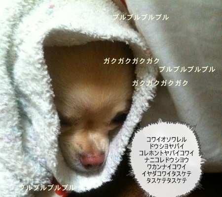 new_写真 (1)