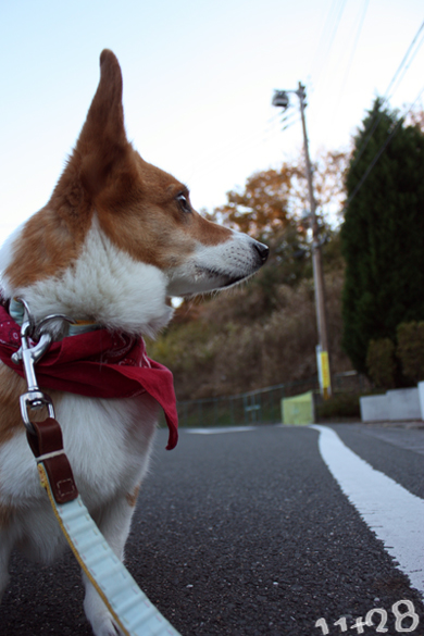 お家の方角