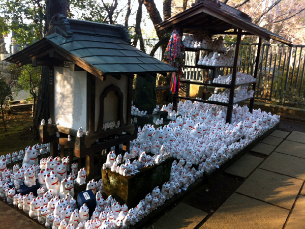 豪徳寺2014_00