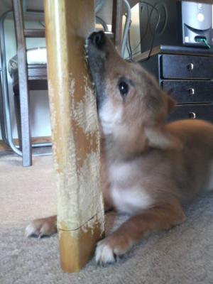 2012050708520000.jpg