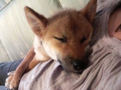 201206011412.jpg