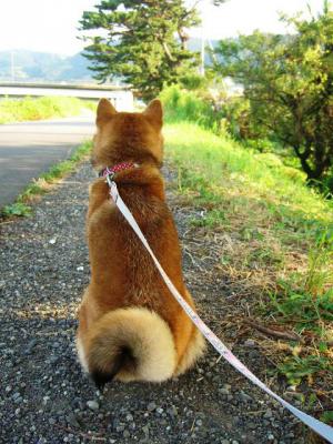 2012　7 30 後姿