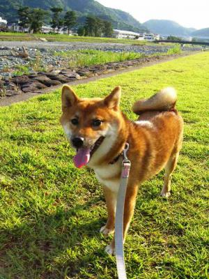 2012　7　30 ごきげん縦