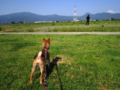飛行機を見る