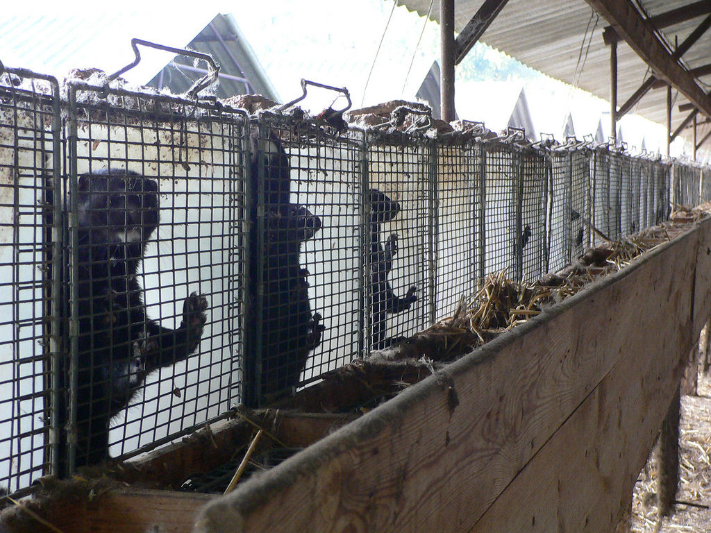 kegawa20_20121026215526.jpg