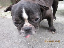 20120607_2319816.jpg