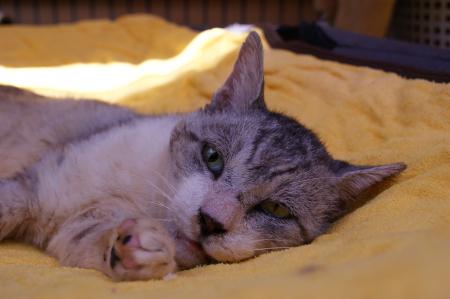 DSC00907_convert_20120711124927.jpg