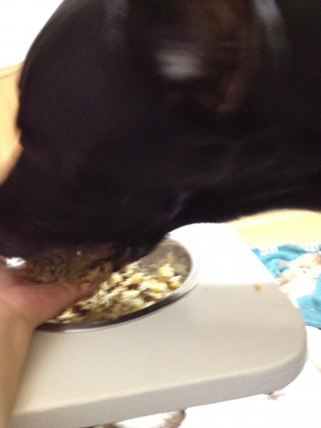IMG_0426_convert_20120824114351.jpg