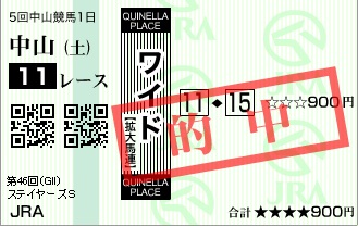 ステイヤーズS2012