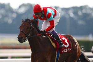 ’11 トレイルブレイザー