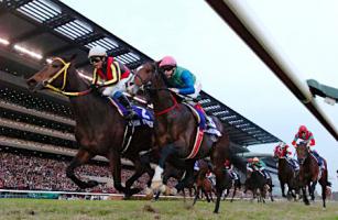 ジャパンカップ　ブエナビスタ