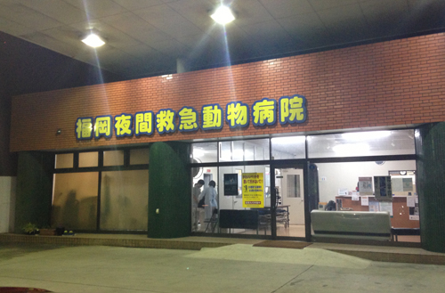 「夜間動物病院 福岡」の画像検索結果