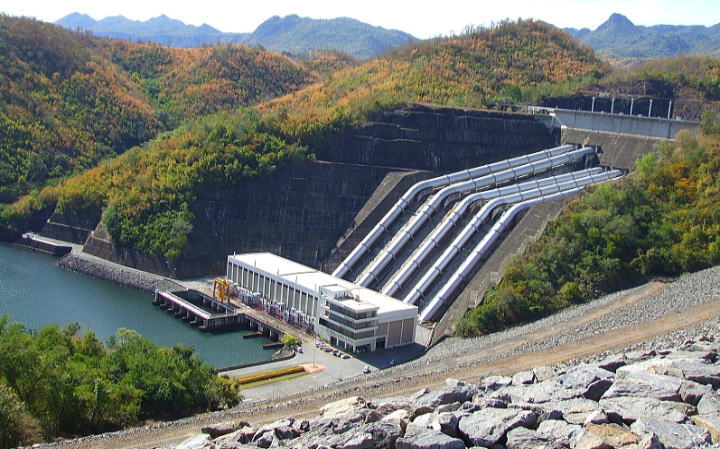 damuko.jpg