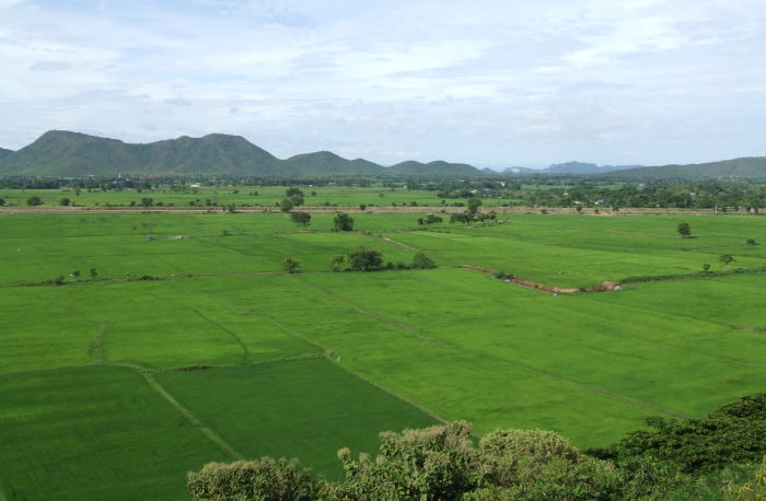 nouti700.jpg