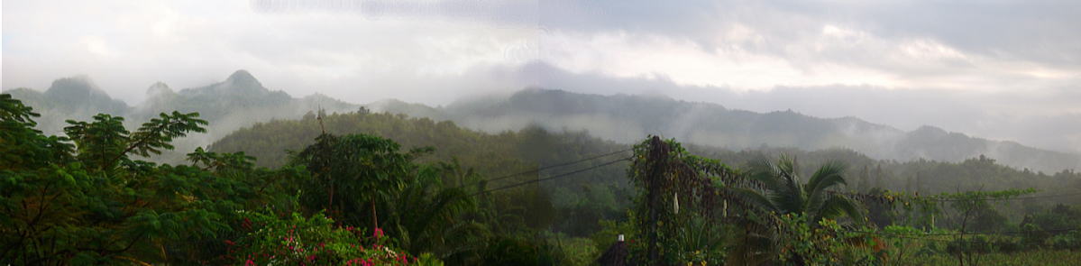 panorama.jpg