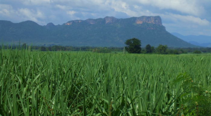 satokibinojyo700.jpg