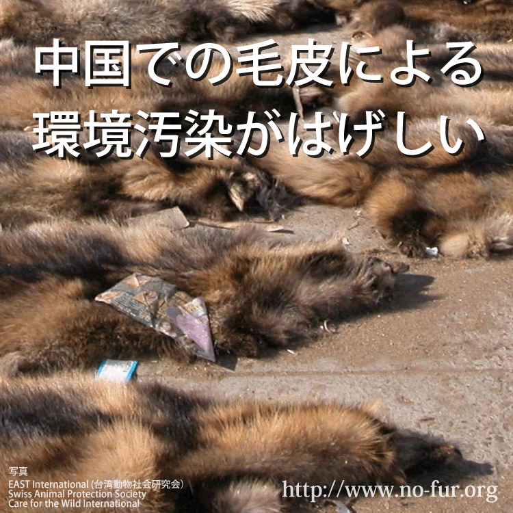 kegawaARC.png