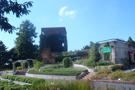 DSC07545.jpg