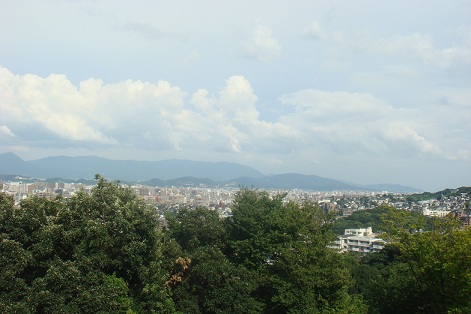 DSC07550.jpg