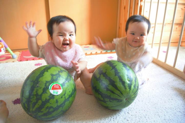 Image result for 瓜二つ