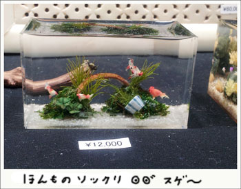 20130519_1.jpg