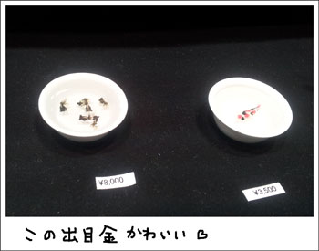 20130519_6.jpg