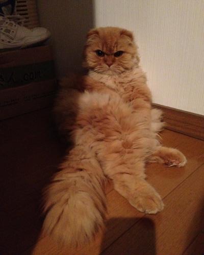 IMG_0176[1]_convert_20120514175544